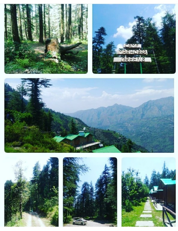 Screenshot_20180708-171143_edit_1531050282771